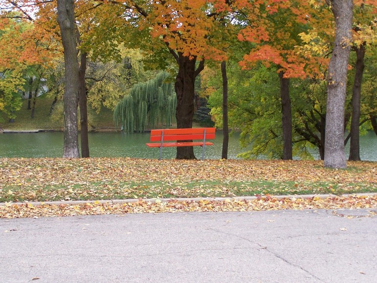 Fairmont, MN : Fall Lincoln Park Fairmont, MN
