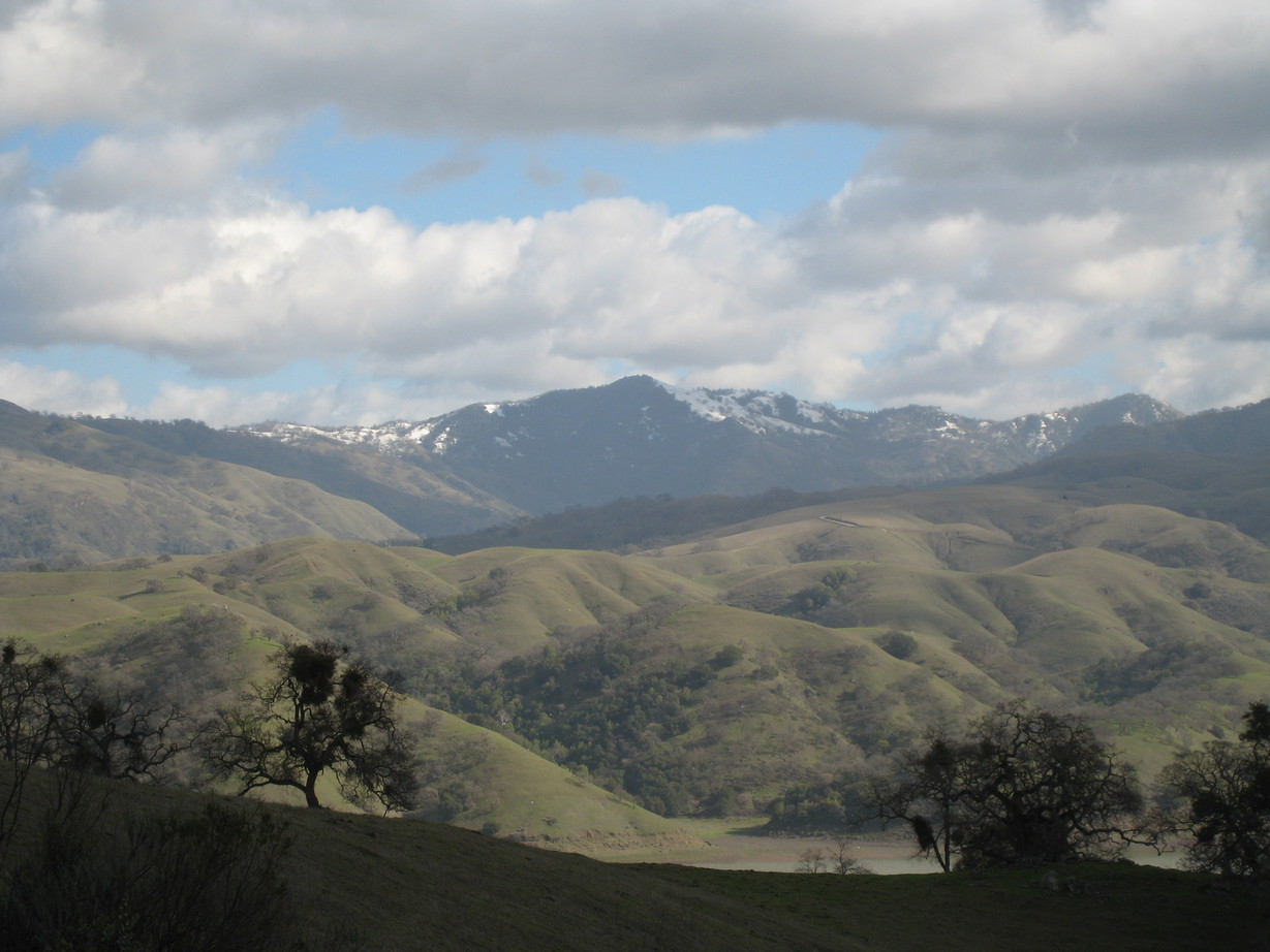 Milpitas, CA : Snowtop in winter time