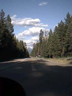 Shingletown, CA : Shingletown