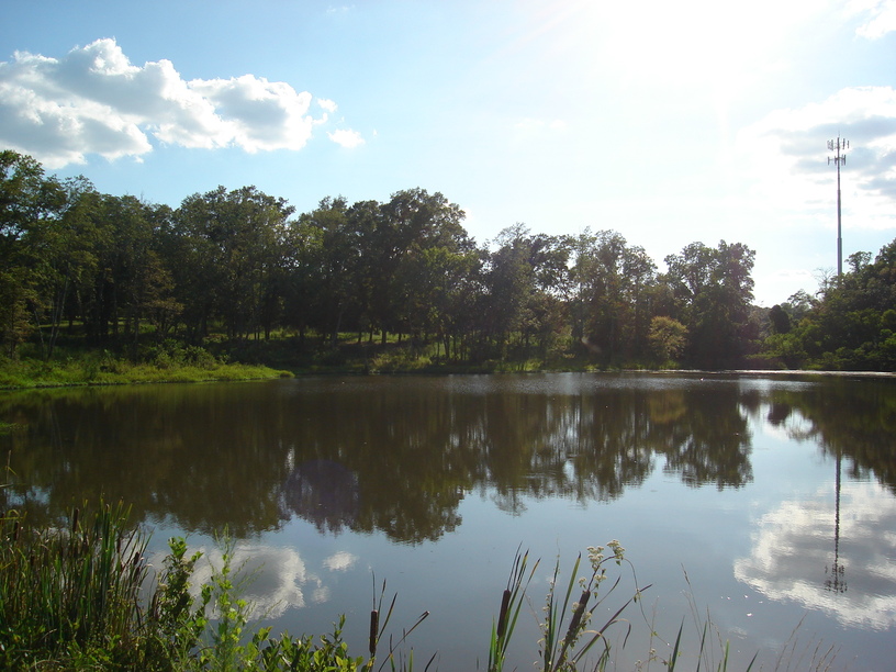 Andalusia, AL: 2ac pond in city limits