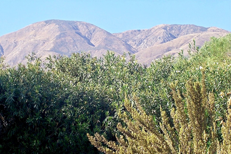 San Bernardino, CA: Looking at Mountains From Backyard - Sept 2007