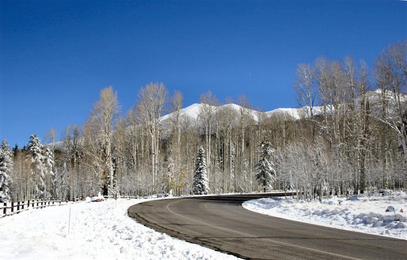 Flagstaff, AZ First snow on the road to Snow Bowl photo, picture