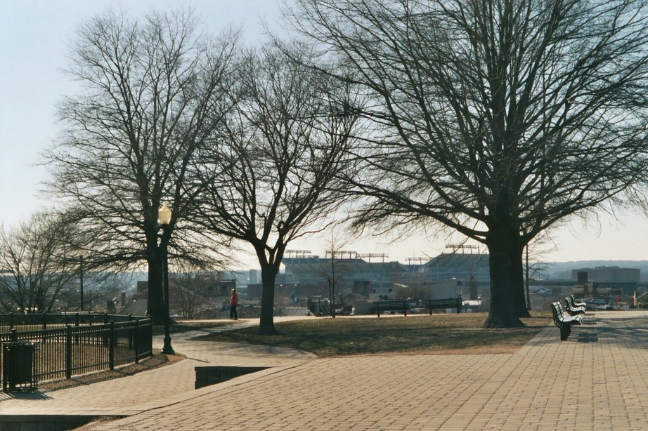 Baltimore, MD : view of Raven's Stadium from Federal Hill Park