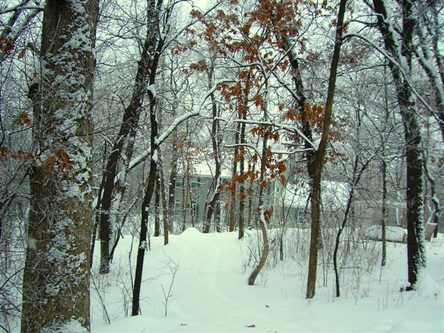 Middleton, WI : House in the Woods in Middleton, WI