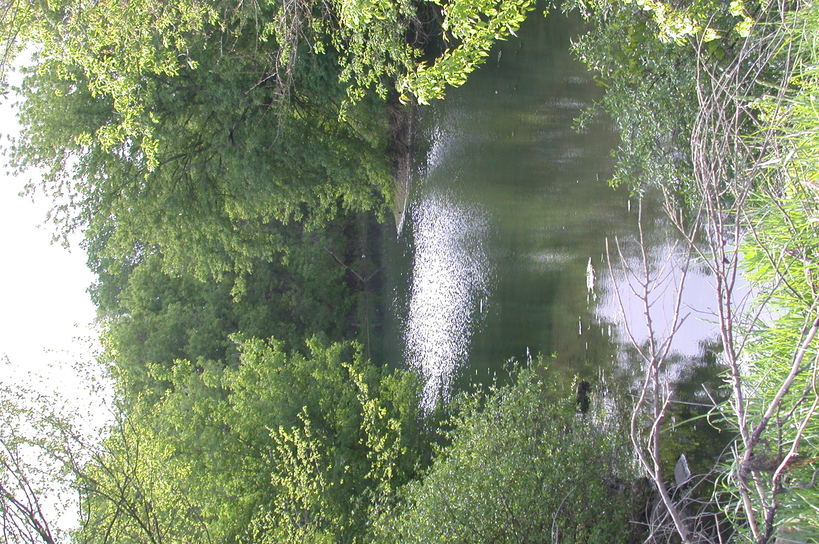 Kirkland, IL: This is a picture of the Kish river that goes through Kirkland