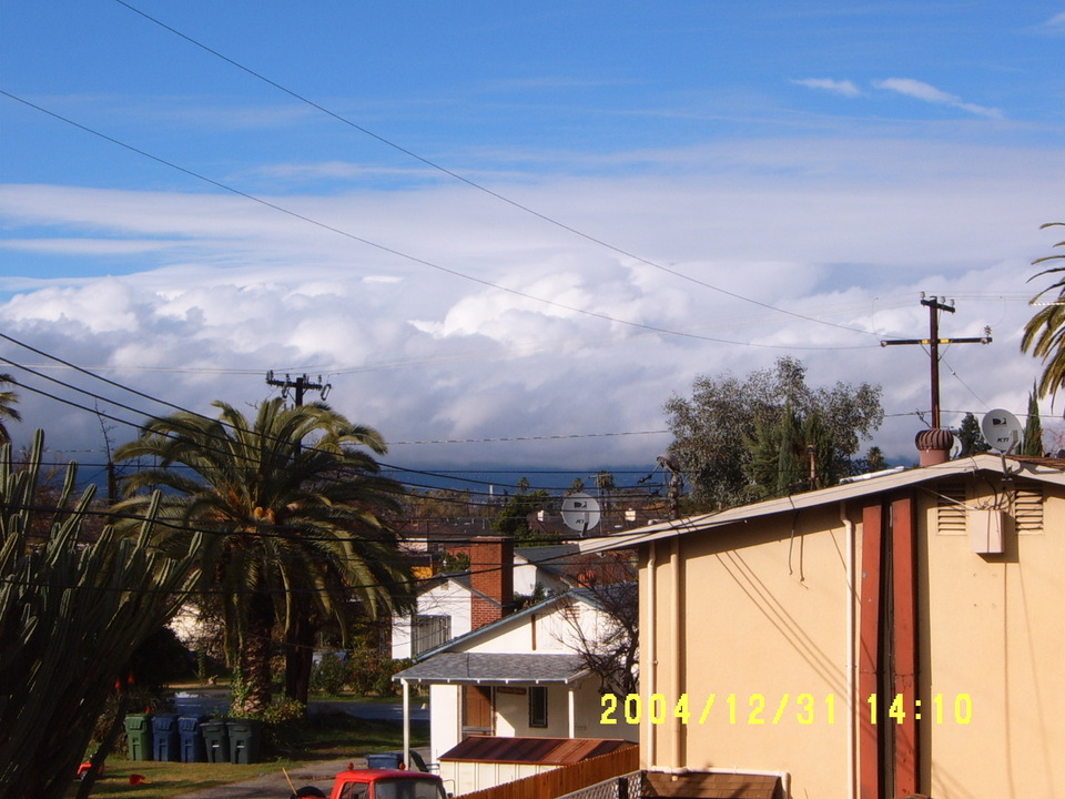 Loma Linda, CA: After the rain, in December.