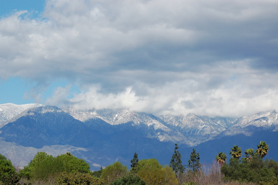 Ontario, CA: Snow on the peaks, palm trees down in the valley.