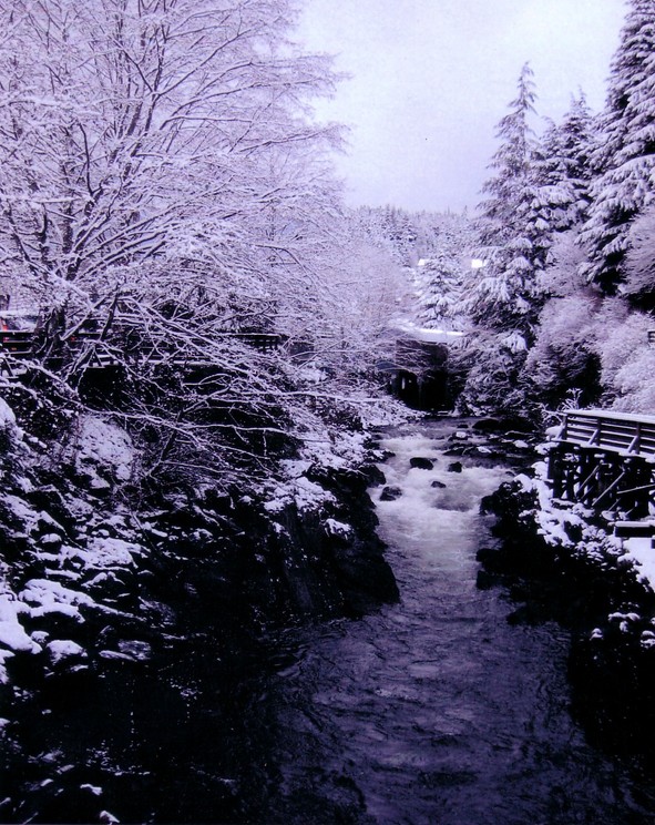 Ketchikan, AK : Ketchikan Creek