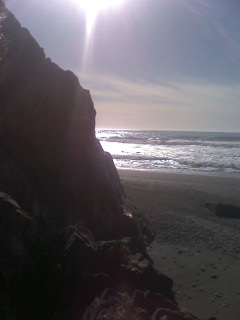 Brookings, OR : brookings sun