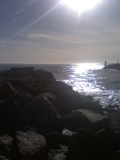 Brookings, OR : brookings sun