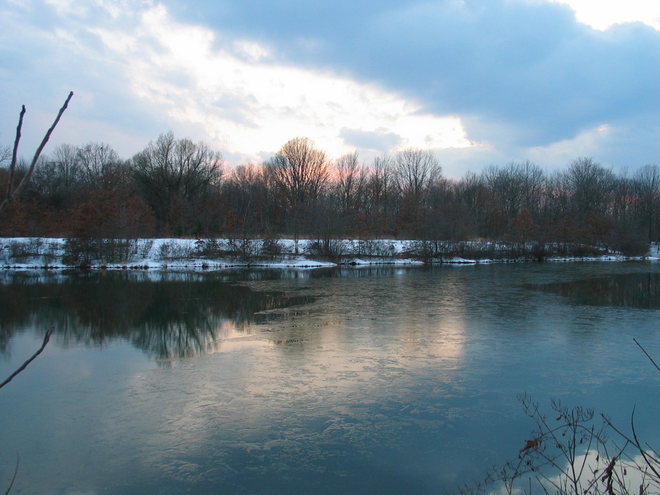 Sayreville, NJ: A Pond in early Spring