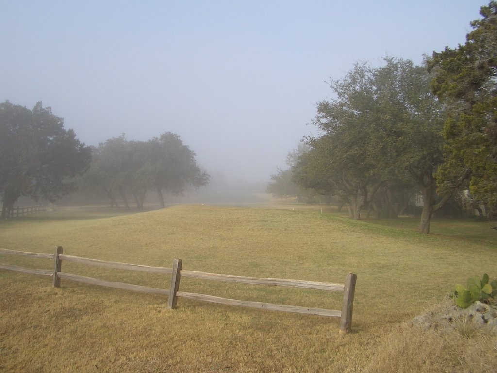 Lakeway, TX : Fog on # 14 Yaupon