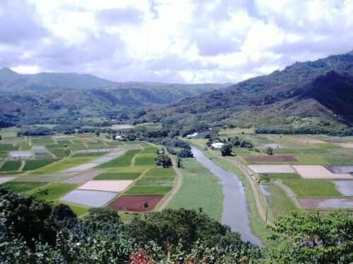 Princeville, HI : Hanalei Valley from Princeville Overlook