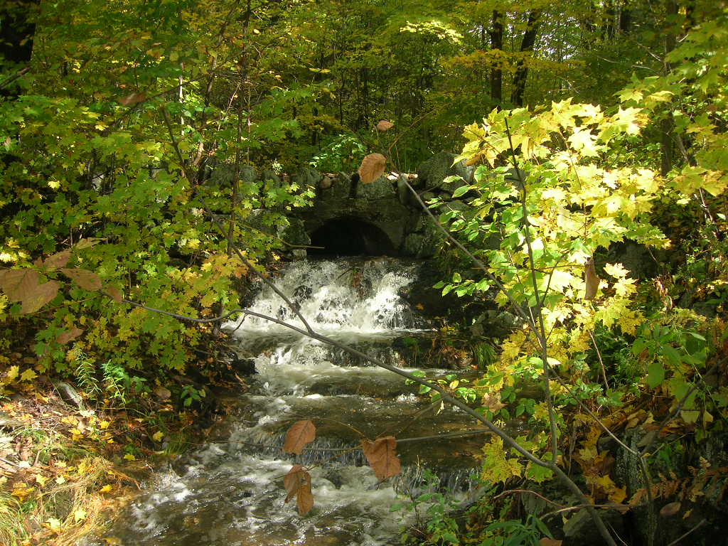 Nassau, NY : Waterfall at Cleveland Pond, Lyons Lake Road