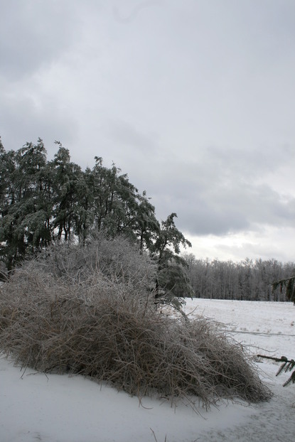 Enfield, NY : Vandorn Road, Enfield Ny after an ice storm