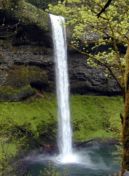 Sublimity, OR : Silver Falls in Silver Falls State Park