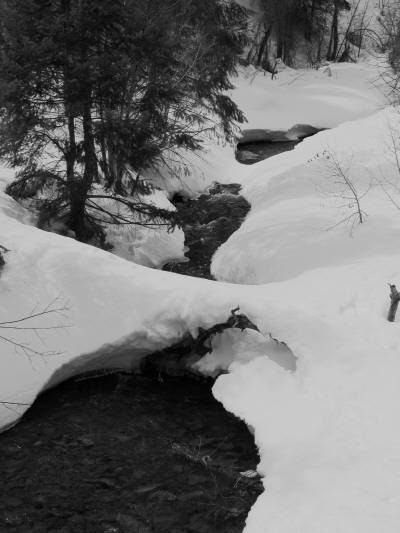 Cortez, CO : Junction Creek