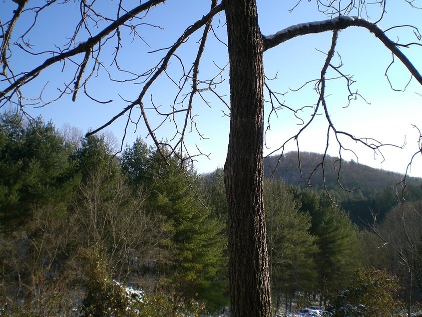 Murphy, NC : Brisk Morning Mountain View