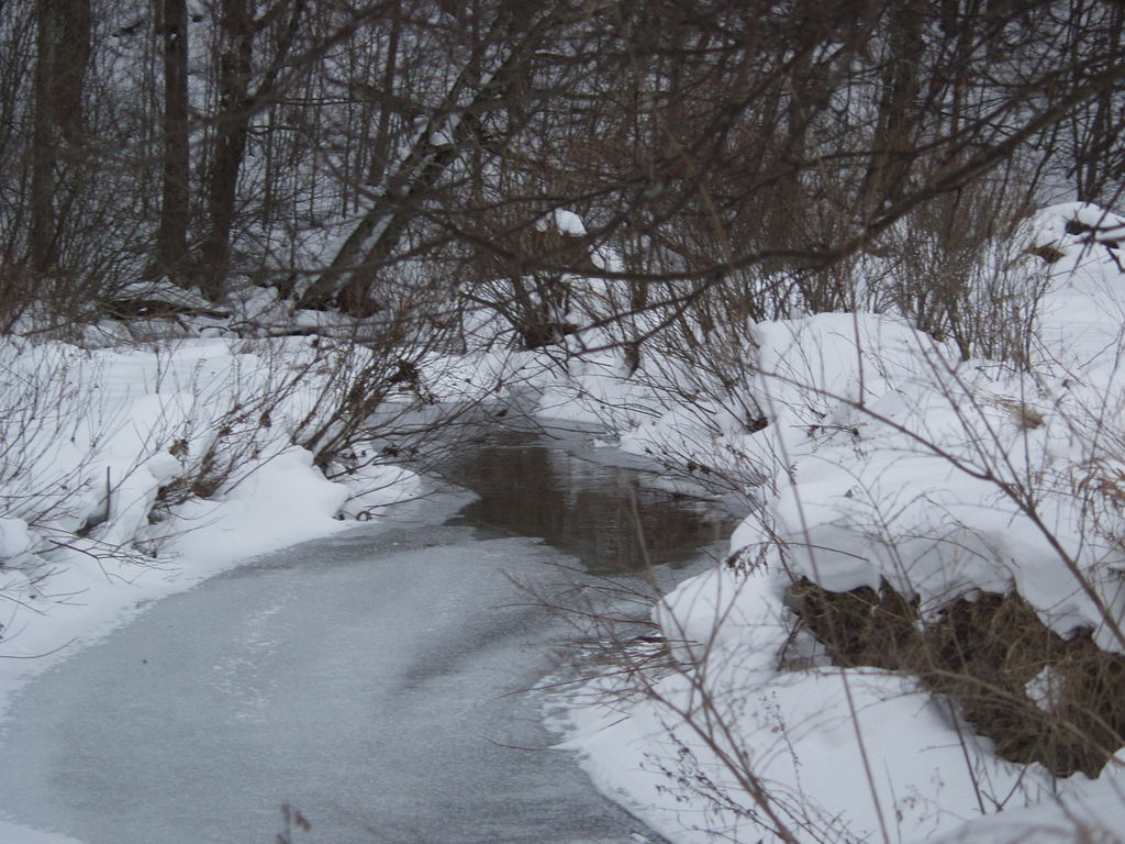 Franklinville, NY : COLD  CREEK -RURAL FRANKLINVILLE NY
