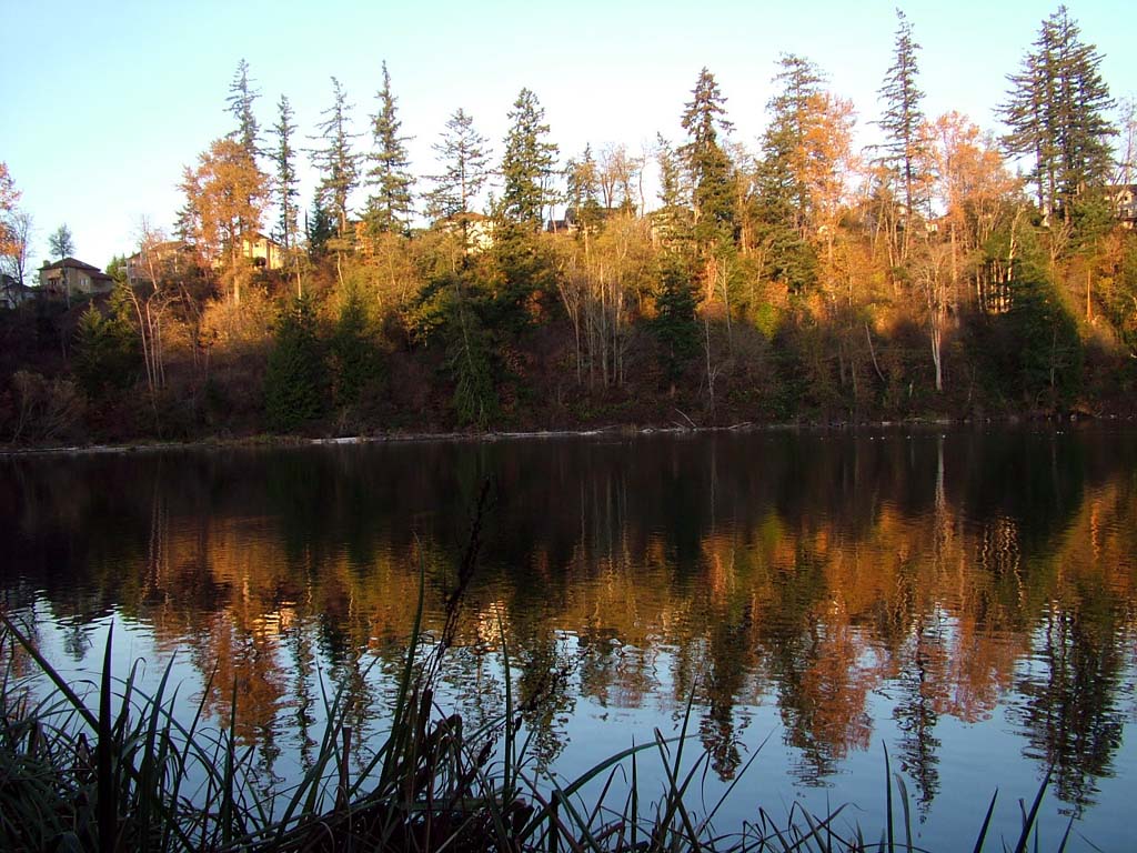 Maple Valley, WA: "Highlands at Lake Wilderness"
