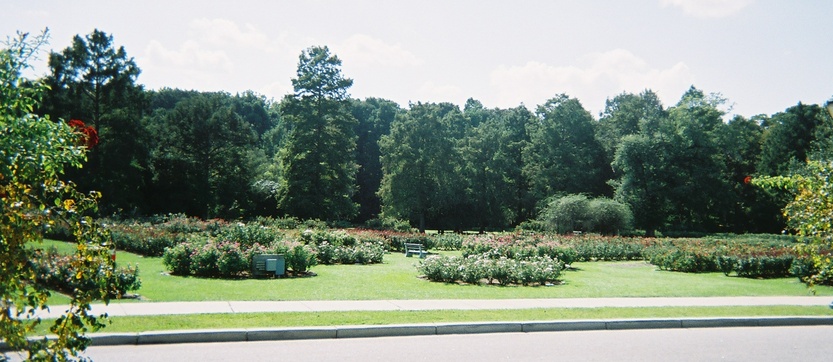 Orangeburg, SC : Edisto Memorial Gardens