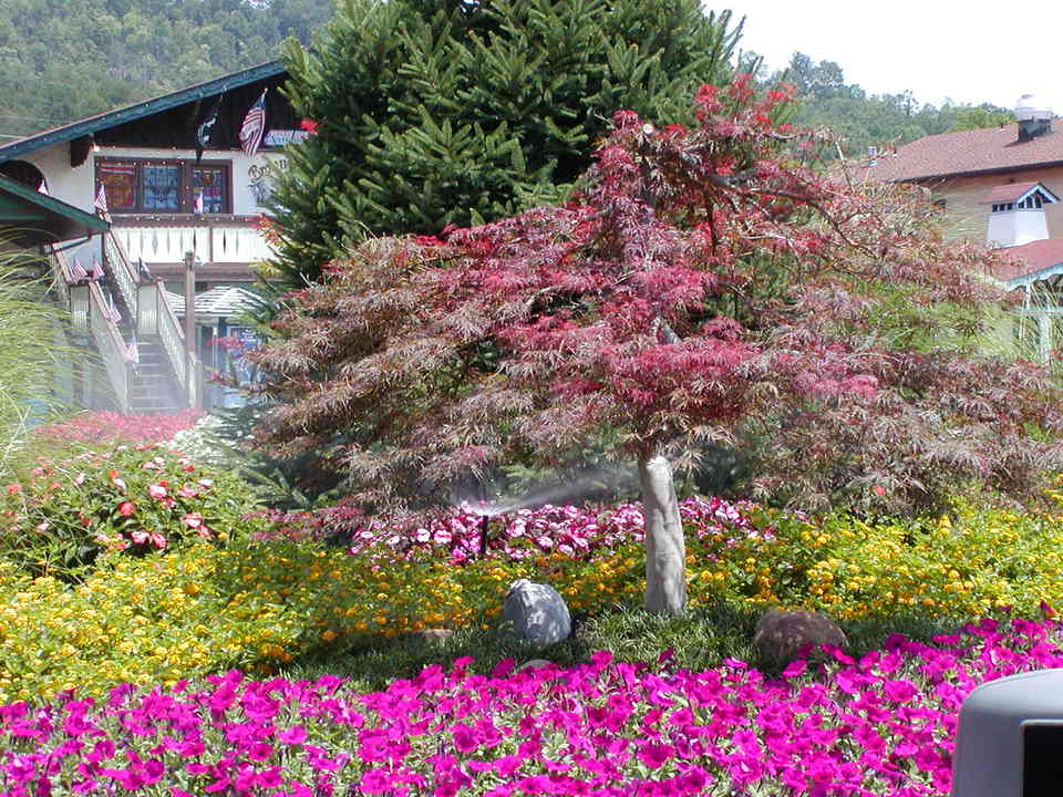 Helen, GA : Downtown Helen