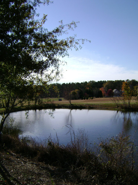 Clayton, NC: "My Neighbor's Pond" Clayton, NC November 2007