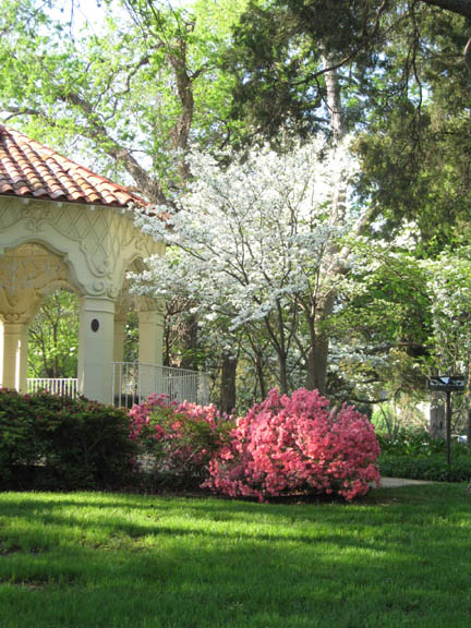 Highland Park, TX: Pavilion, Dogwood Tree & Azaleas in Flippen Park