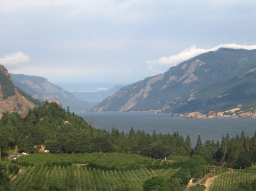 Hood River, OR: The view from Ruthton Park