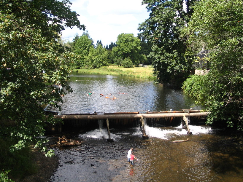 Vernonia, OR : Rock Creek swimming hole photo, picture, image (Oregon