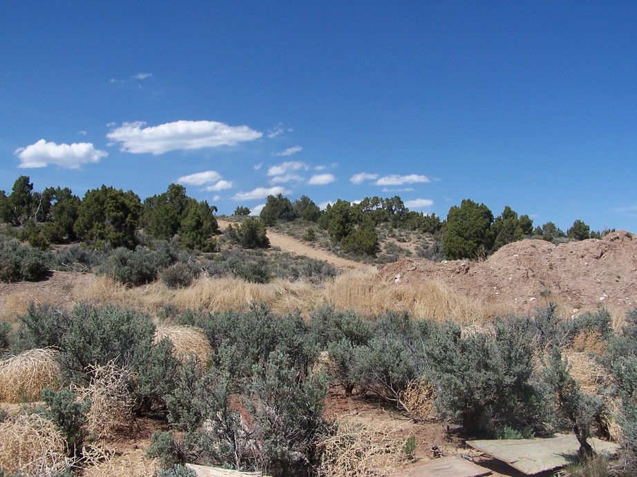 Ely, NV : Driving into Ely