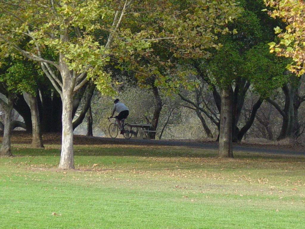 wicker bicycle basket