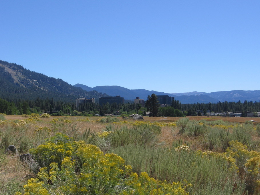 Stateline, NV Casino row photo, picture, image (Nevada) at