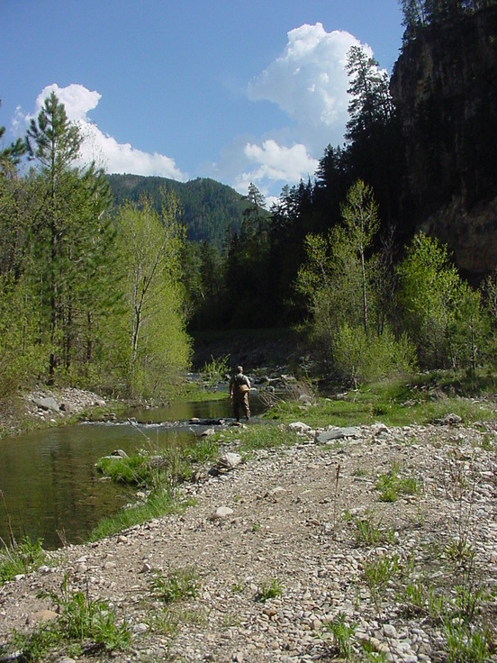 Spearfish, SD: Fly Fishing, Spearfish Canyon, SD