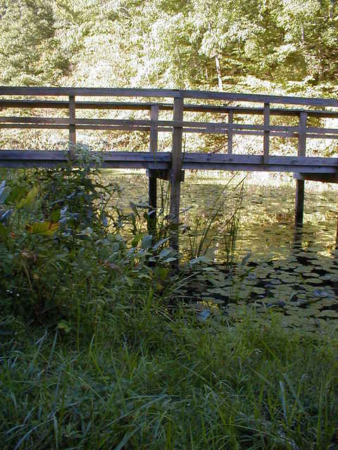 Lewisville, OH: Bridge at Monroe lake llily pads