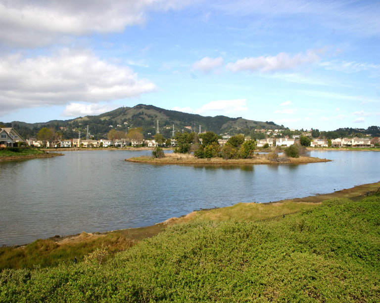 San Rafael, CA : Baypoint Lagoons - Wildlife and Bird Sanctuary