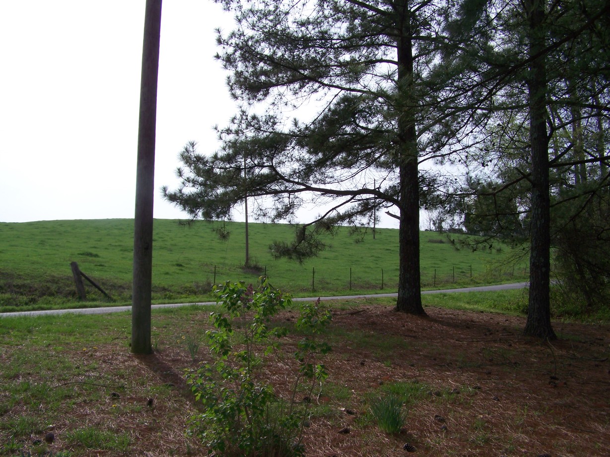 Niota, TN : My Future Home