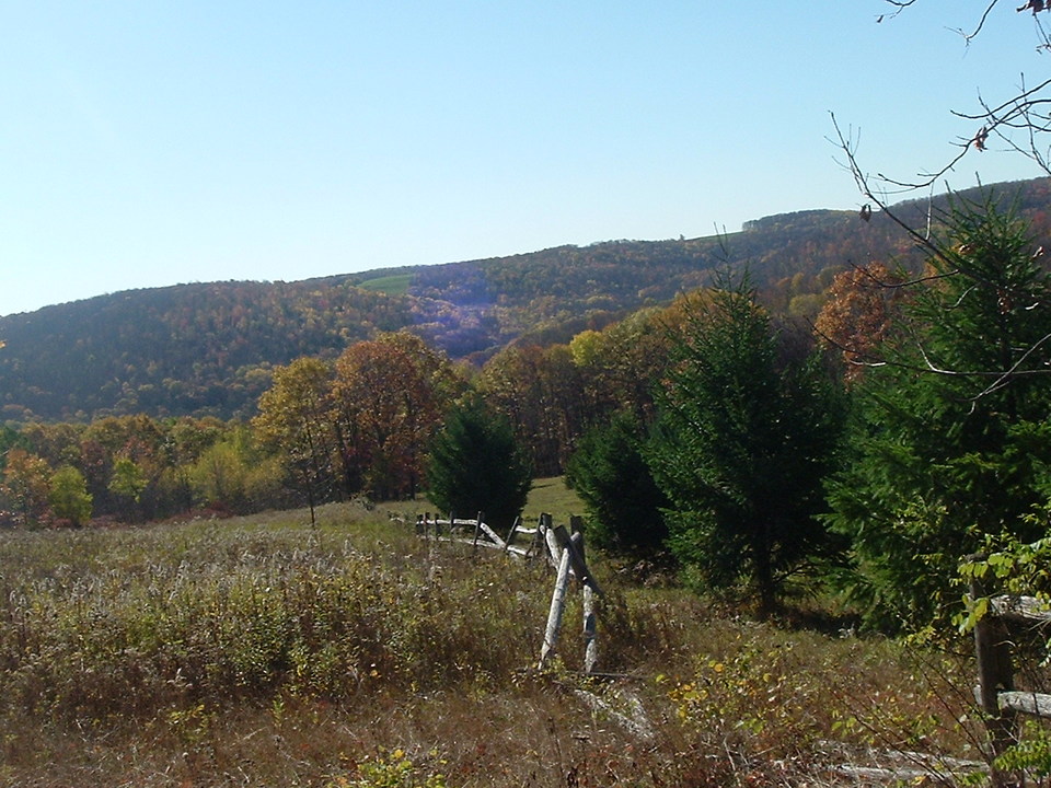 Van Etten, NY : On top of Swartwood Hill looking toward  Cooper Hill Rd