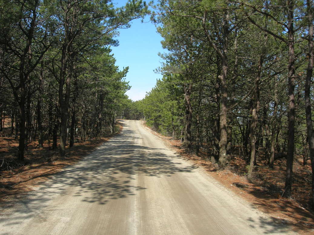 Wellfleet, MA : Wellfleet