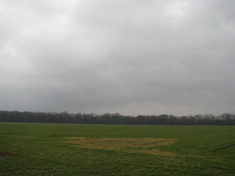 Braceville, IL : Cloudy Day over field across from Exelon