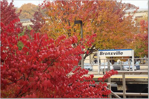 Bronxville, NY: Bronxville in Fall Greets Visitors Arriving by Train