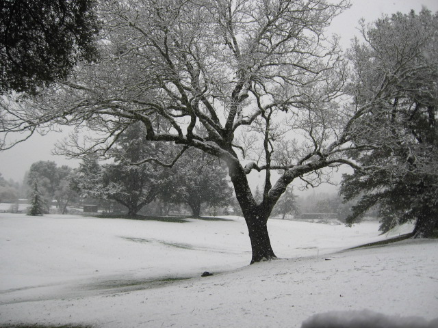 Ukiah, CA: Rare snow at Ukiah Golf Course
