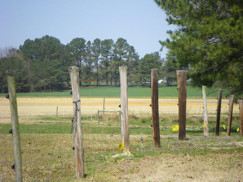 Smithfield, NC : fence