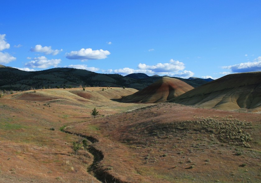 Mitchell, OR : John Day Fossil Beds, Painted Hills unit...8miles from Mitchell...