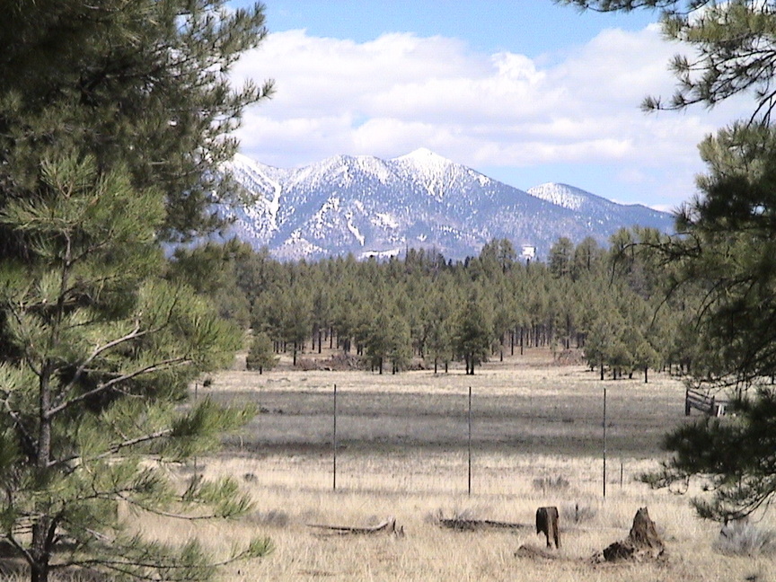 Flagstaff, AZ : SanFrancisco Peaks from Flagstaff Arboretum