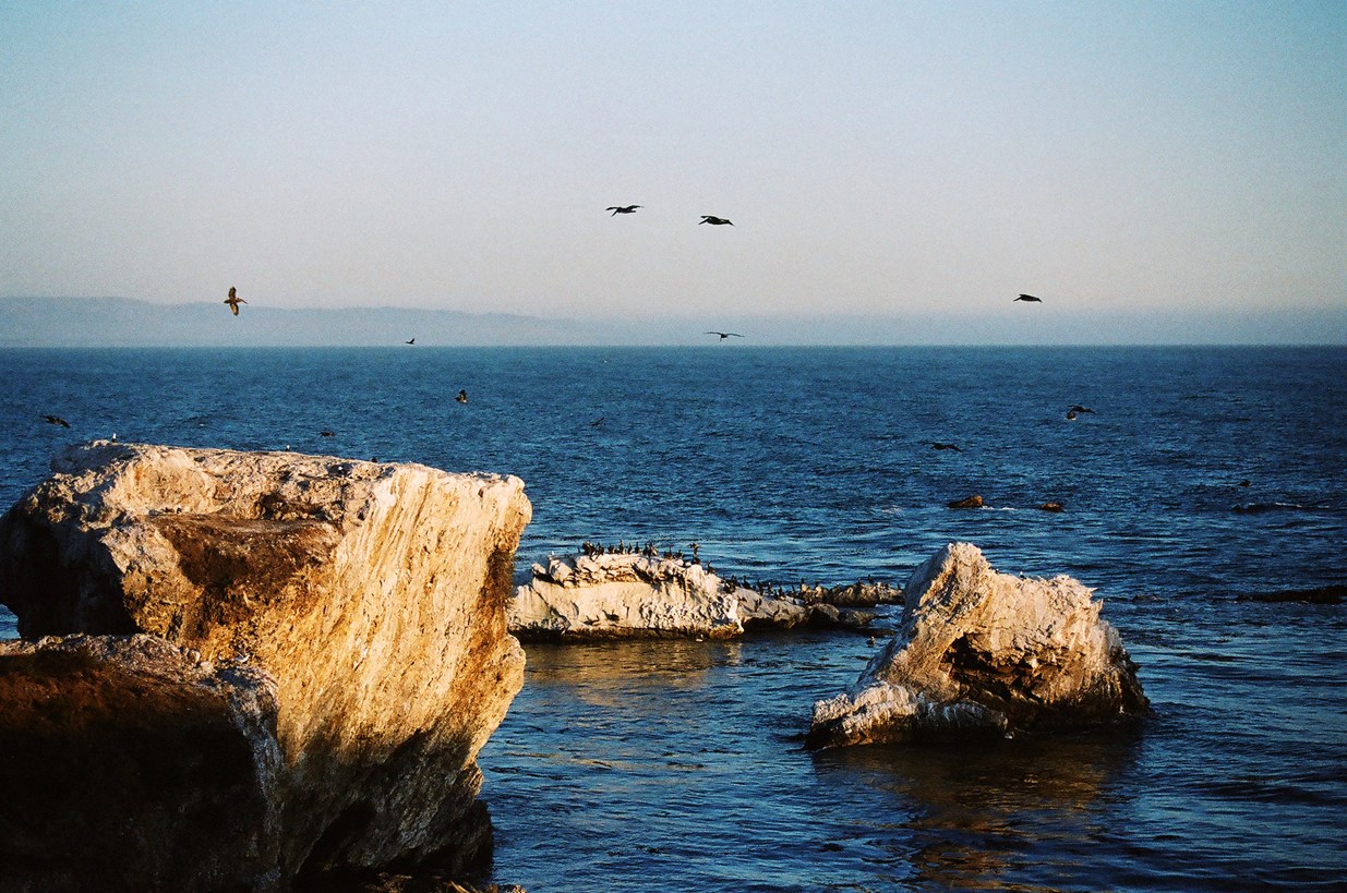 Pismo Beach, CA : Pelican Isl