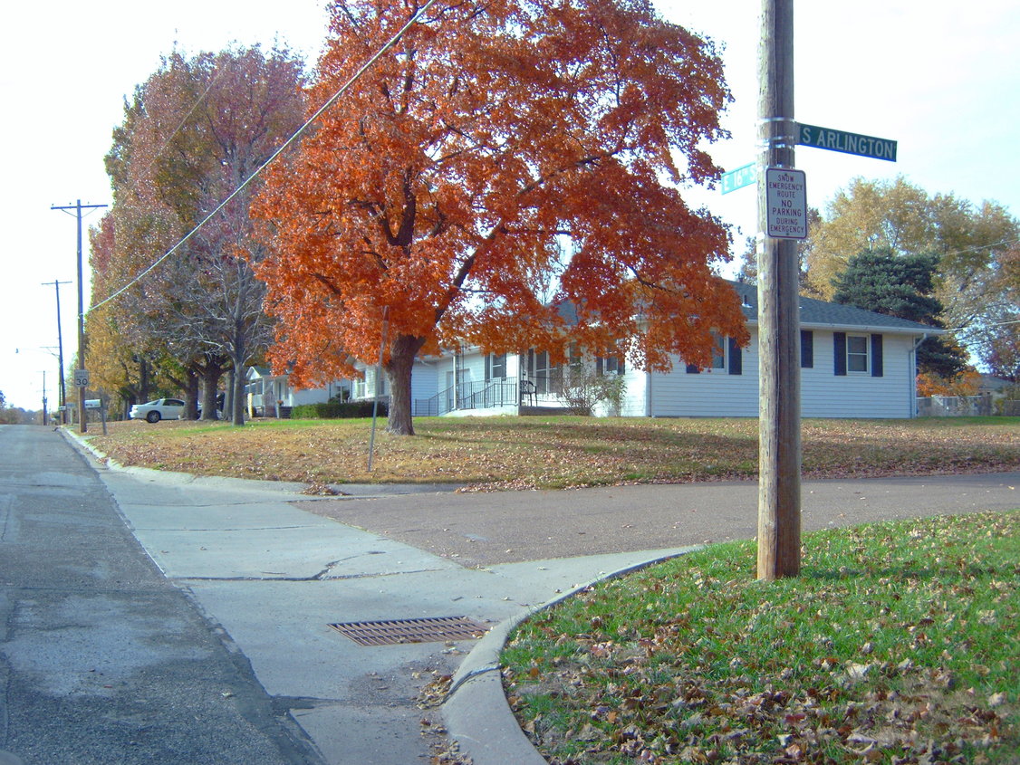 Sedalia, MO: An autumn tree on corner of Arlington South, taken whilst on vaction visitng ith my wifes cousin. .... Geoff & Marilyn, Nottinghamshire, England, UK.