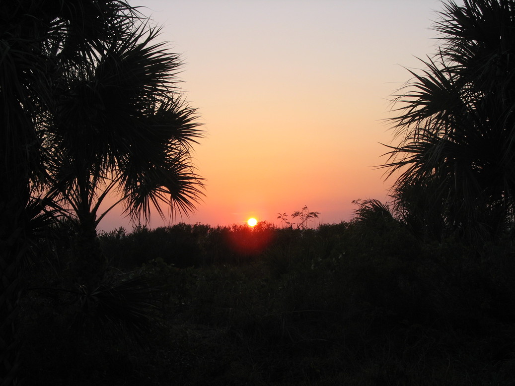 Marco Island, FL : Sunset on Marco