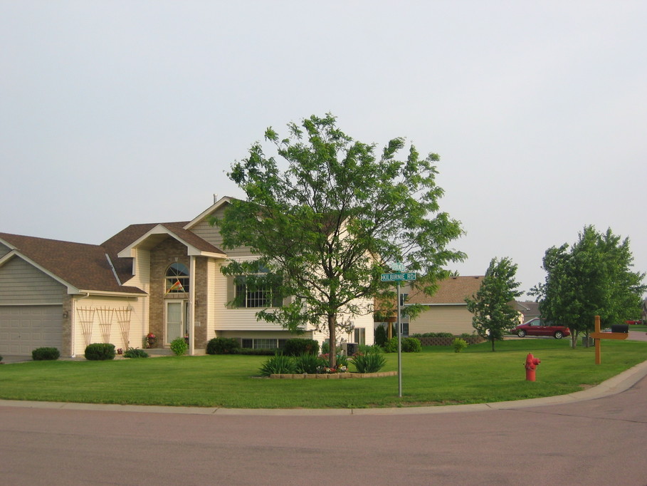 Big Lake, MN nice Honeylocust Tree & House in typical Big Lake