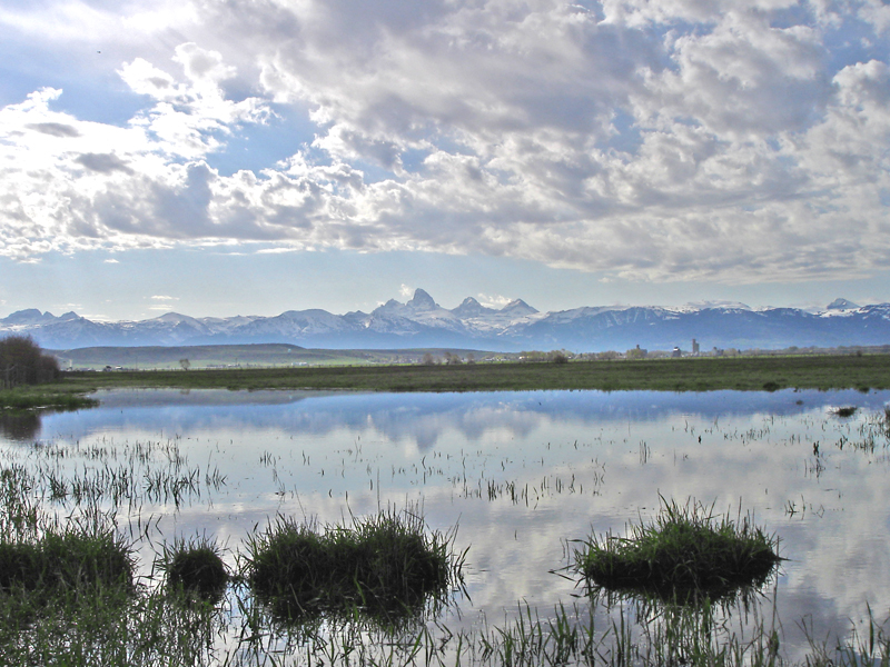 Driggs, ID : Reflection of the Tetons